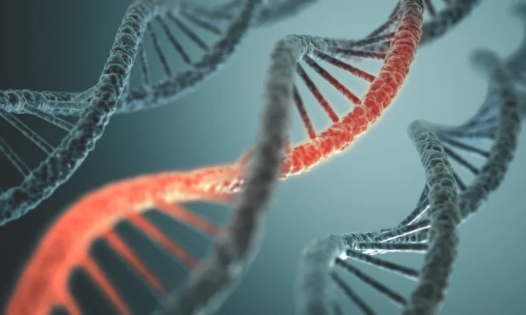 Unlocking the Cellular Shield: New Discovery in Alpha-1 Antitrypsin Deficiency Offers Hope for Liver Disease