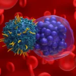 A Decade of Hope: Landmark CAR T-Cell Trial Suggests Potential "Cure" for Aggressive Lymphoma
