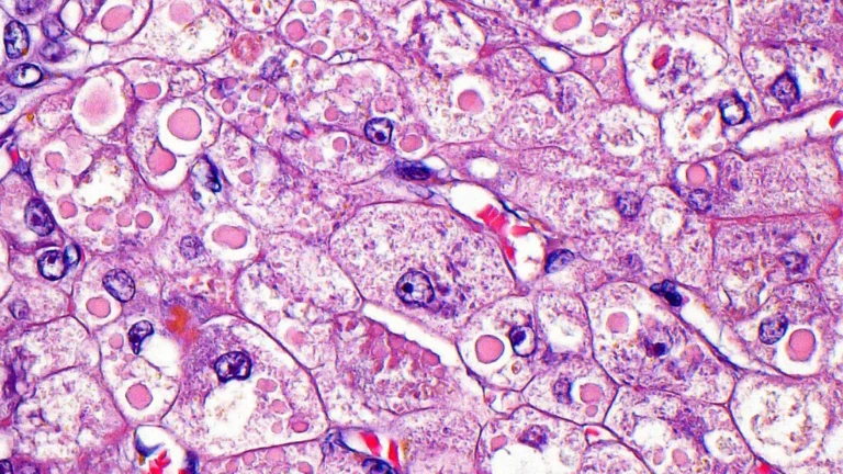 A New Frontier in Gene Editing: Serapha Bio Emerges with $230 Million and a Strategic Reverse Merger