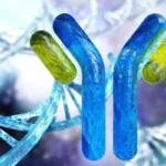 A New Frontier in Oncology: Experimental Antibody Shows Promise Against Aggressive Lung Cancer