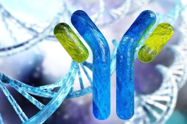 A New Frontier in Oncology: Experimental Antibody Shows Promise Against Aggressive Lung Cancer