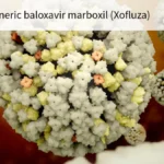 A New Standard in Flu Care: FDA Approves First Generic Baloxavir Marboxil