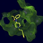 A Shield Against the Synthetic Crisis: Scripps Researchers Develop Broad-Spectrum Fentanyl Vaccine
