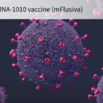A Turning Point for mRNA: FDA Prepares to Evaluate Moderna’s Influenza Vaccine