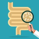Beyond the Colon: The Urgent Case for Elevating Quality Standards in Upper GI Endoscopy