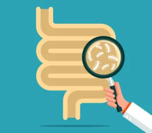 Beyond the Colon: The Urgent Case for Elevating Quality Standards in Upper GI Endoscopy