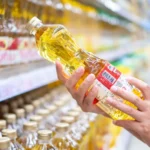 Beyond the "Low-Fat" Myth: New Yale Research Rewrites the Rules of Diet and Pancreatic Cancer