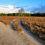 Beyond the Resume: Redefining Value in the Wake of Life-Altering Injury
