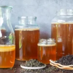 Beyond the SCOBY: How Tea Selection Redefines the Chemistry of Kombucha