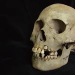 Echoes from the Steppe: New Evidence Pushes Back the Timeline of Ancient Plague