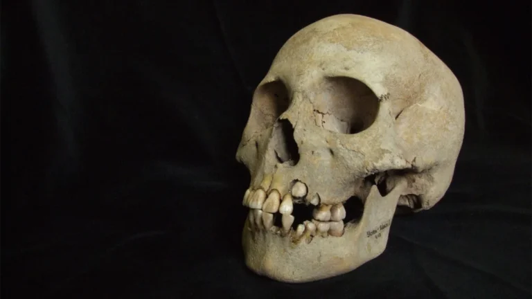 Echoes from the Steppe: New Evidence Pushes Back the Timeline of Ancient Plague