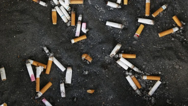 Health Policy Brief: From Youth Tobacco Trends to the Ethics of Gene Editing
