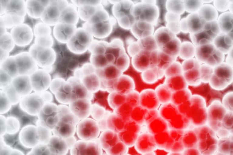 Lifestyle as Medicine: How Sleep and Exercise Can "Reprogram" Age-Related Genetic Mutations