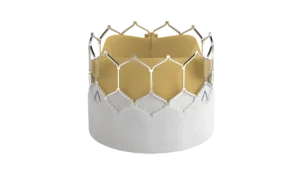 Medicare Coverage Expansion for TAVR Could Shift Market Dynamics in Favor of Edwards Lifesciences