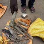Shadow of the Shrine: The Spiritual and Medical Collision in Congo’s Ebola Crisis