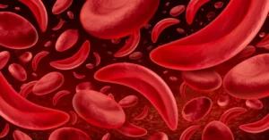 Strategic Crossroads: Fulcrum Therapeutics Weighs Sale Following FDA Halt of Key Sickle Cell Asset