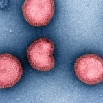 The $500 Million Gamble: Big Tech’s Ambitious Quest to Eradicate Respiratory Viruses