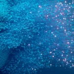 The AI Mirage: Why Healthcare’s "Gold Rush" Risks Collapsing Under the Weight of Technical Debt