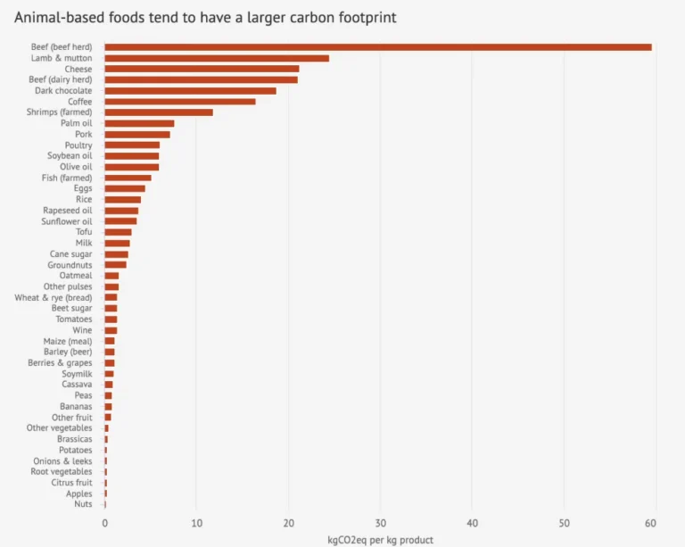 The Amsterdam Precedent: Can Banning Fossil Fuel and Meat Ads Alter Consumer Behavior?