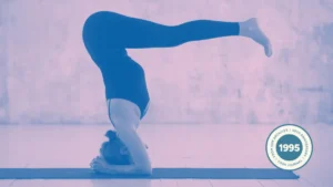 The Architecture of Inversion: Mastering Urdhva Dandasana