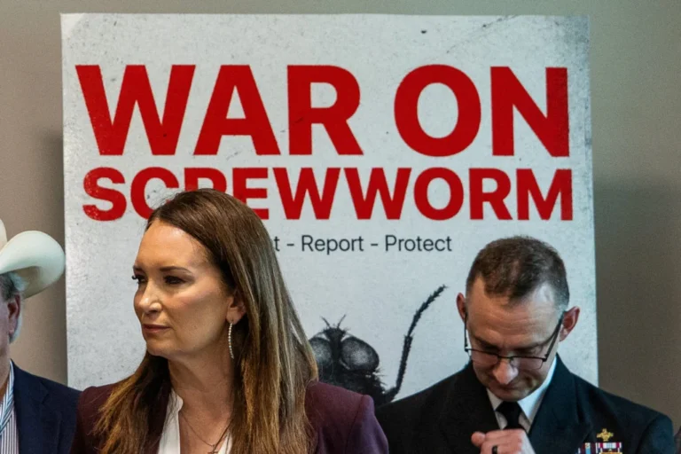 The Billion-Dollar Parasite: The Return of the New World Screwworm and the Political Battle for Control