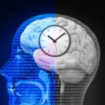 The Biological Symphony of Weight Loss: How Fasting Rewires the Gut-Brain Axis