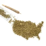 The Cannabis-Sleep Connection: New AASM Data Reveals Shifting Trends in Nighttime Habits