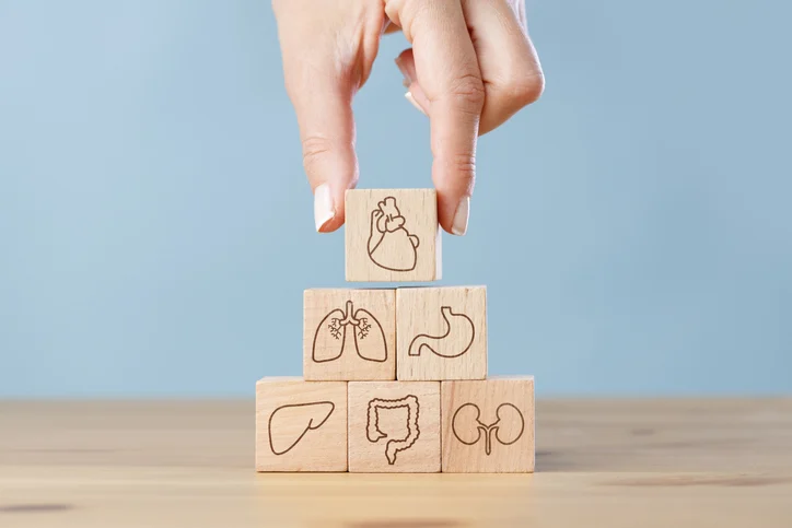 The Digital Transformation of Organ Transplantation: Beyond the Ice Chest