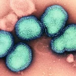 The Future of Flu Prevention: RQ Bio Secures $115 Million to Pioneer Season-Long Antibody Therapy