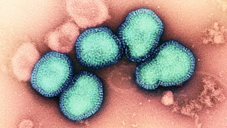 The Future of Flu Prevention: RQ Bio Secures $115 Million to Pioneer Season-Long Antibody Therapy