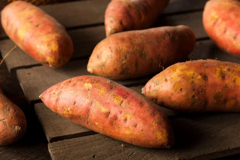 The Great Root Rivalry: Kabocha Squash vs. Sweet Potato in the Modern Nutritional Landscape