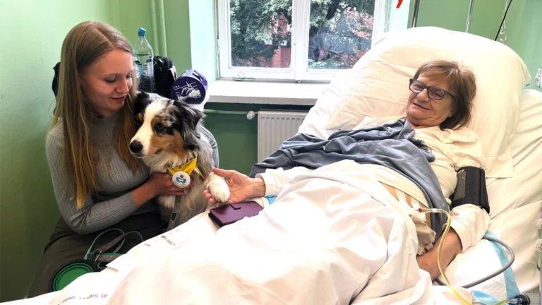The Healing Paw: Poland Moves to Guarantee Pet Visitation Rights in Palliative Care