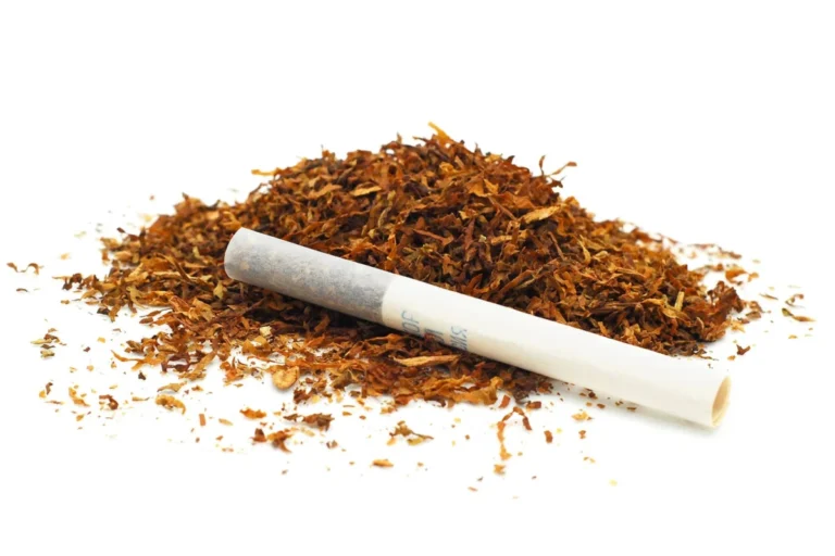 The “Natural” Fallacy: Why Herbal Cigarettes May Pose a Greater Threat Than Tobacco
