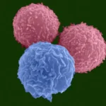 The Next Frontier in Oncology: Jazz Pharmaceuticals and AbCellera Forge Alliance to Advance Multispecific T-Cell Engagers