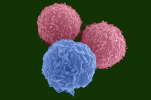 The Next Frontier in Oncology: Jazz Pharmaceuticals and AbCellera Forge Alliance to Advance Multispecific T-Cell Engagers