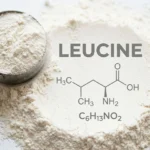 The Powerhouse Nutrient: How Leucine Rewires Cellular Energy and Metabolism