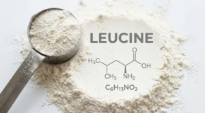 The Powerhouse Nutrient: How Leucine Rewires Cellular Energy and Metabolism