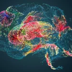 The Psychedelic Renaissance: Why Market Rivalry Is Giving Way to Collective Growth
