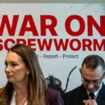 The Return of the Plague: U.S. Scrambles to Contain New World Screwworm Outbreak