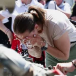 The Silent Crisis: Europe Grapples with a Staggering Toll of Preventable Heat-Related Deaths