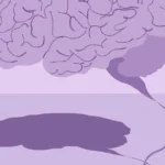 The Silent Erosion: Why Our Clinical Approach to Alzheimer’s Is Decades Behind the Science