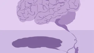 The Silent Erosion: Why Our Clinical Approach to Alzheimer’s Is Decades Behind the Science