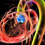 The TAVR Paradox: Bridging the Divide Between Clinical Trials and Real-World Outcomes