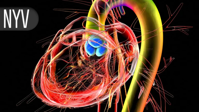 The TAVR Paradox: Bridging the Divide Between Clinical Trials and Real-World Outcomes