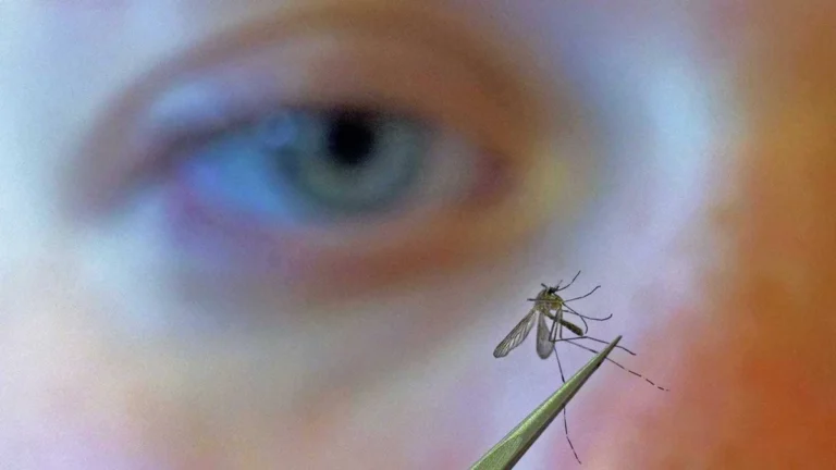 A Dangerous Surge: West Nile Virus Off to Record-Breaking Early Start in the U.S.