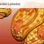 A New Era in Cardiology: FDA Greenlights Enlicitide, the First Oral PCSK9 Inhibitor