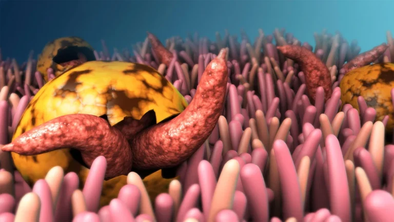 Beyond the Outbreak: Navigating the Hidden World of Foodborne Parasites