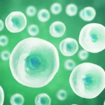 Breakthrough in Genetic Medicine: HOPE-3 Trial Results Offer New Hope for Advanced Duchenne Muscular Dystrophy