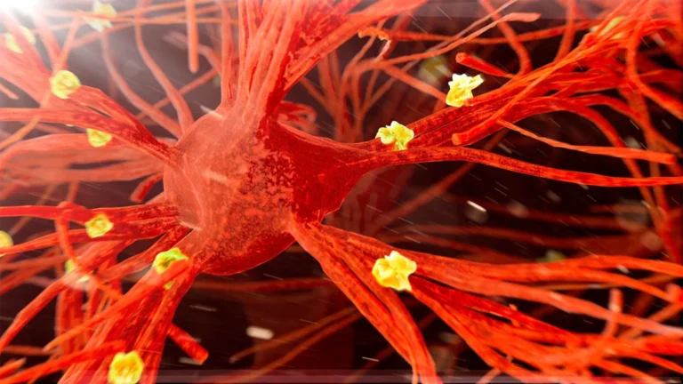 Could a Century-Old Tuberculosis Vaccine Be the Key to Preventing Alzheimer’s?