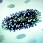 Enanta Pharmaceuticals Advances Zelicapavir: A New Frontier in the Fight Against RSV